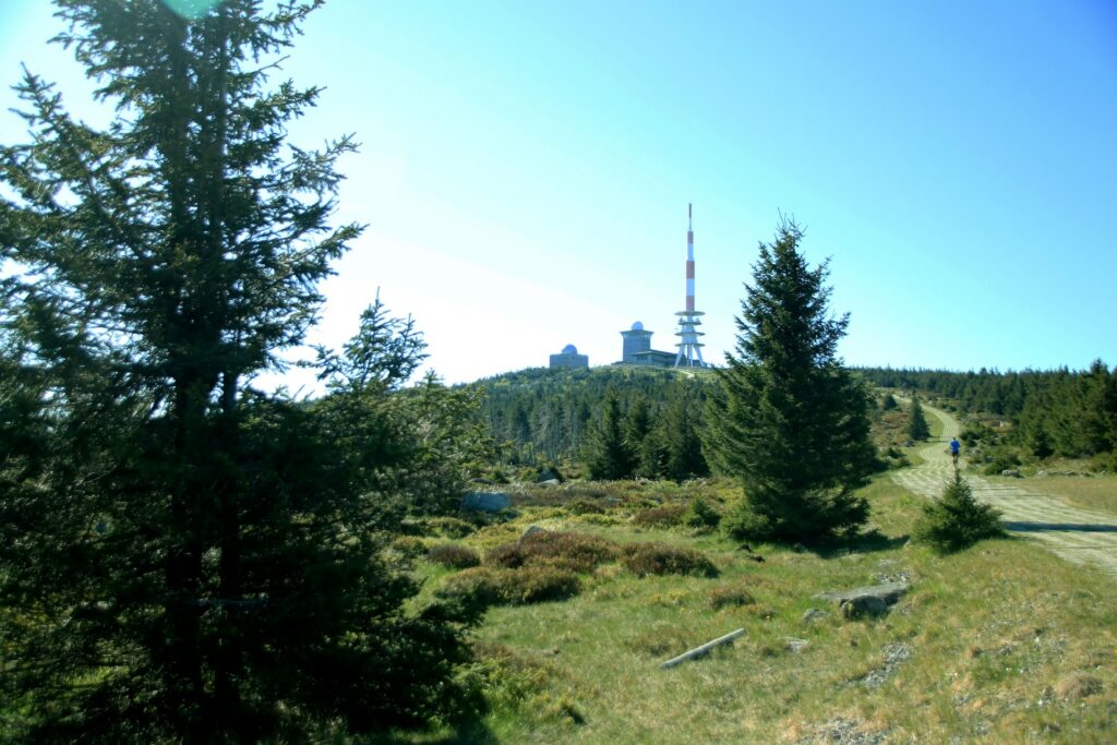 Brockenstation mit Wald
