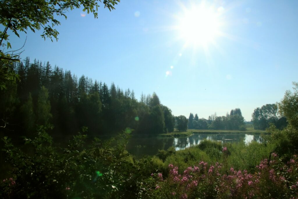Hasselvorsperre bei Sonnenschein