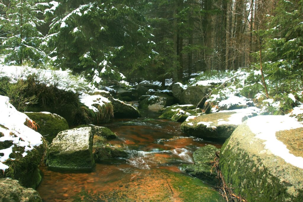 Verschneiter Bachlauf Harz